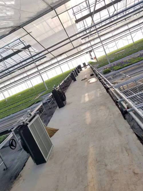 公司经营范围包括:一般项目:以自有资金从事投资活动;企业管理;社会